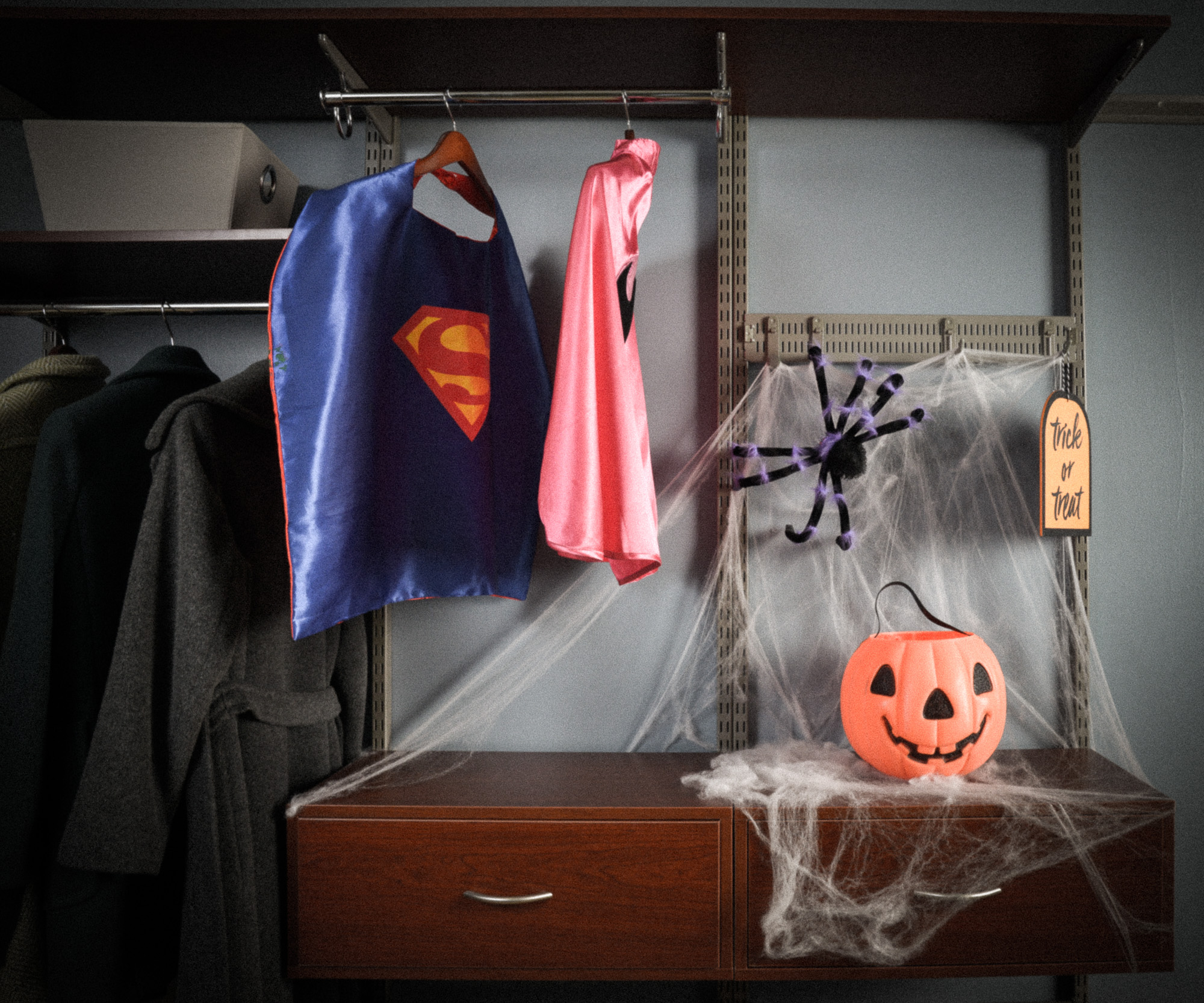 freedomRail Closet in Chocolate Pear with costumes and Halloween decor.