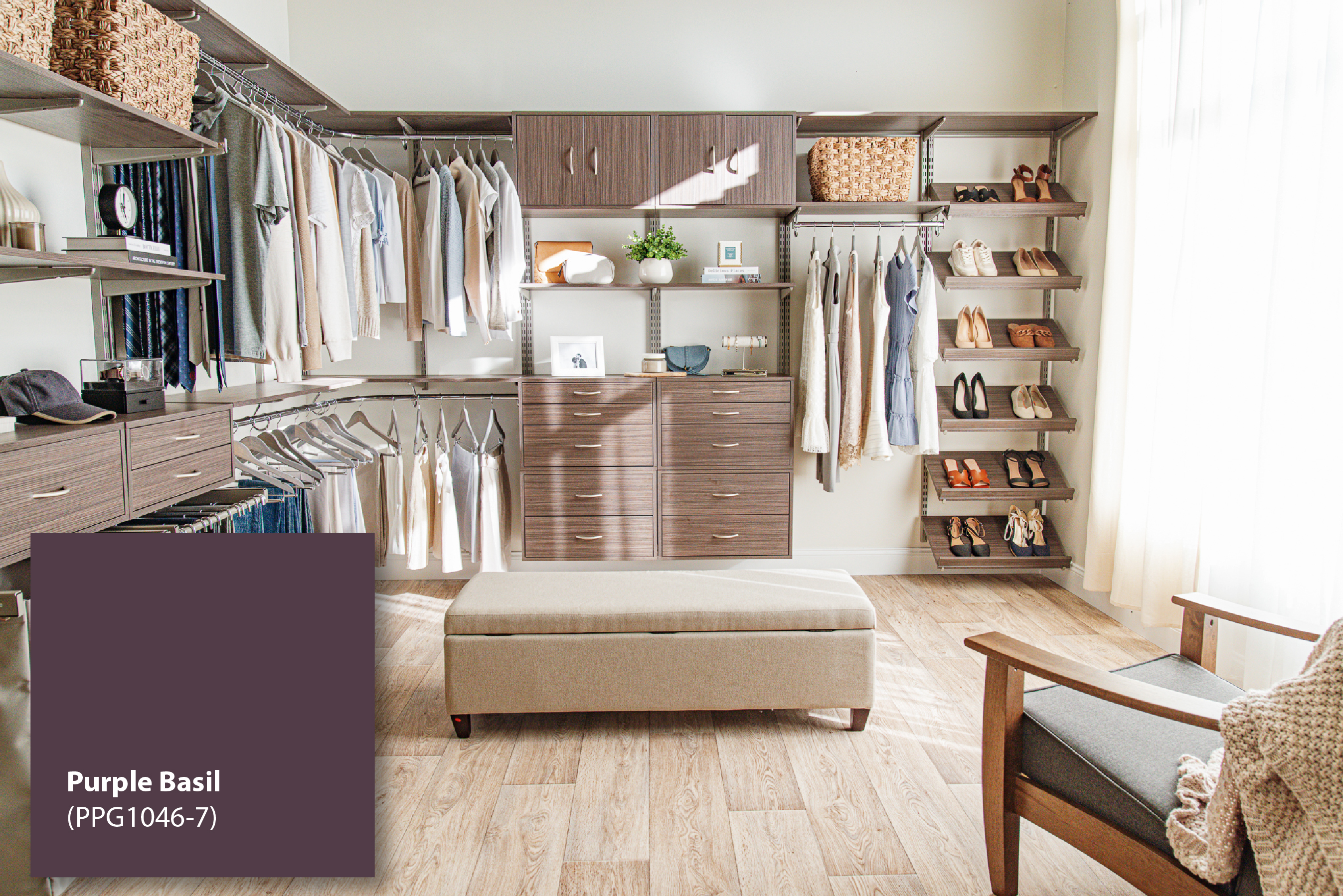 PPG Paints Color of the Year Image with color swatch and freedomRail in Driftwood Live.