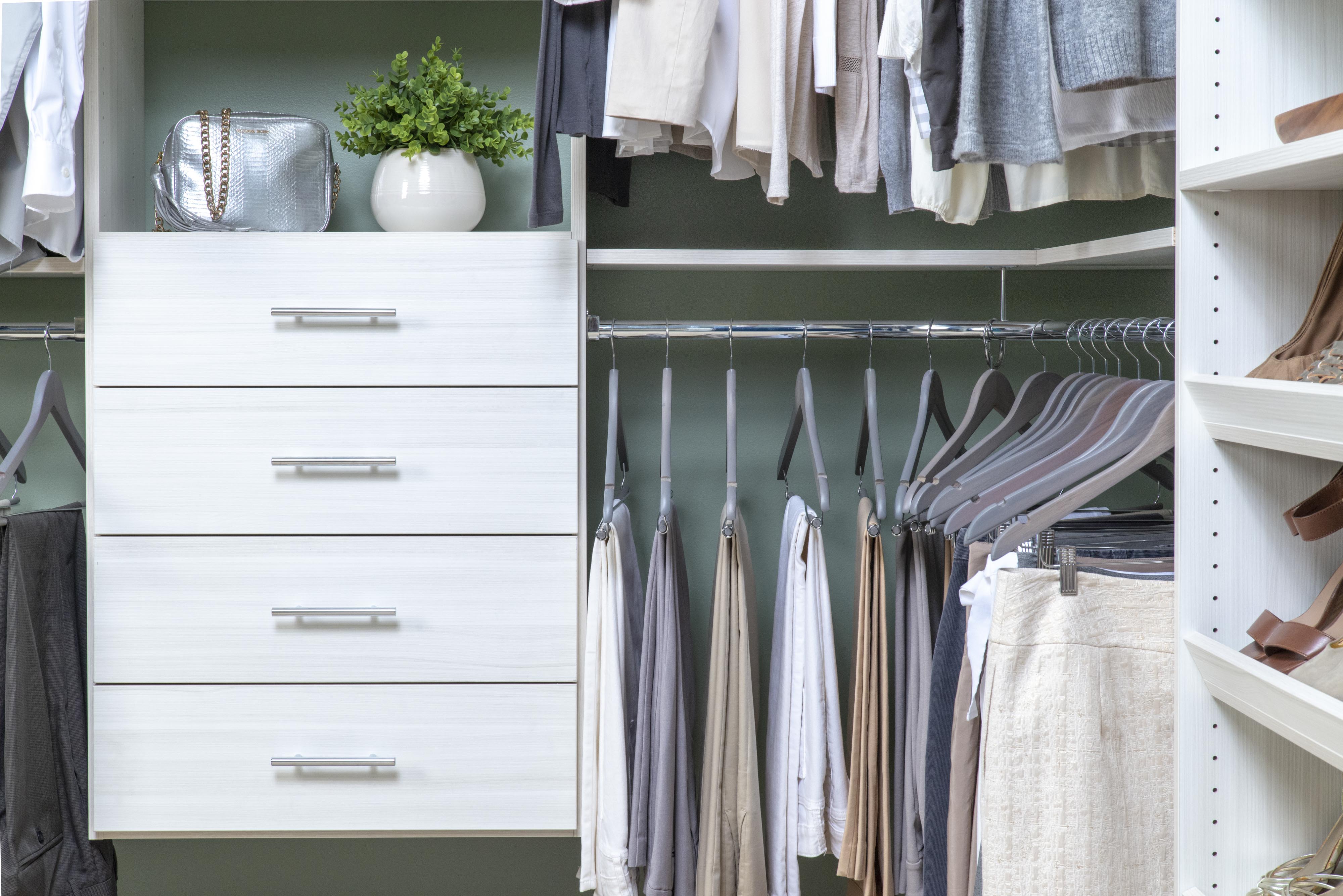 Select closet in Snowdrift. There are clothing items , a purse and fake plant.