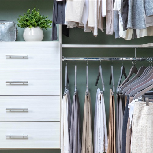 Organized Living Select Snowdrift Walk-in Closet propped with women's clothing.