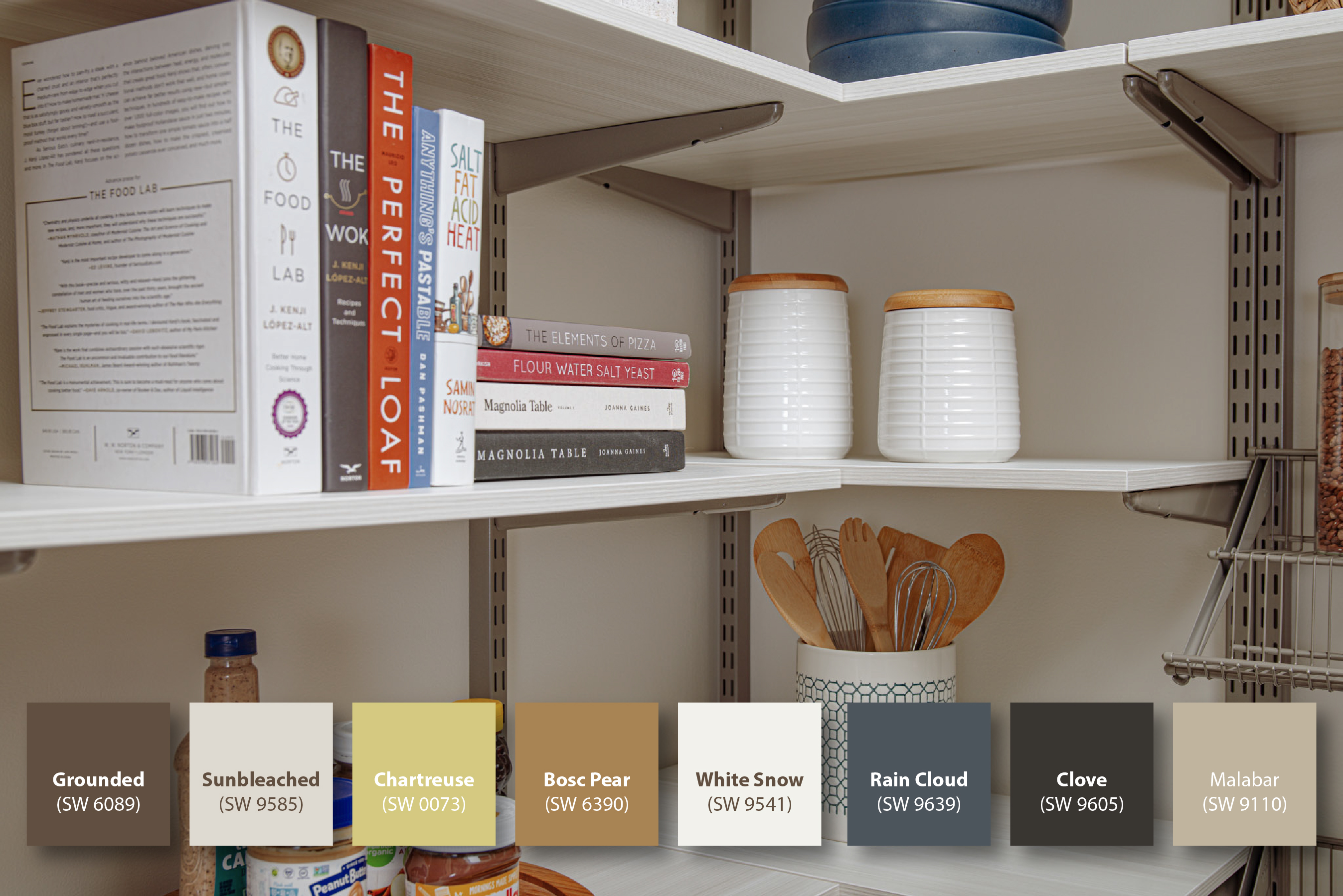 Sherwin-Williams Color of the Year Image with color swatches and freedomRail closet in Snowdrift Live.