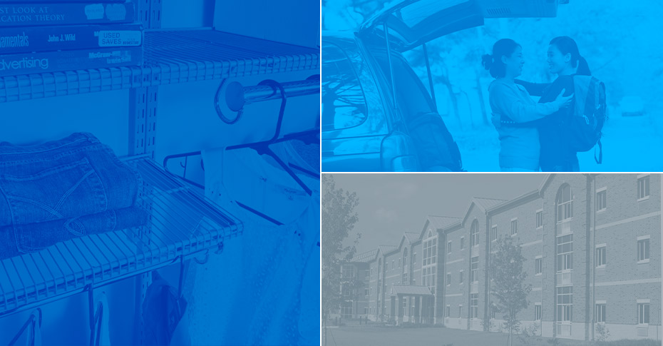 Collage of shelfs, car and building.